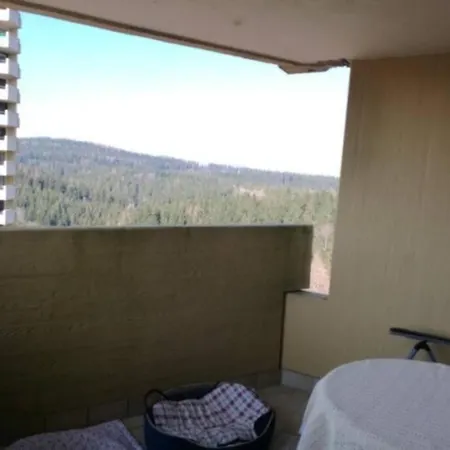 Moderne Mit Wlan+schwimmbad+sauna * Hohegeiss