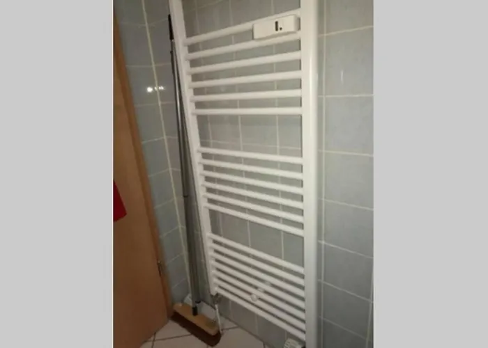 Moderne Mit Wlan+schwimmbad+sauna Apartman Hohegeiß